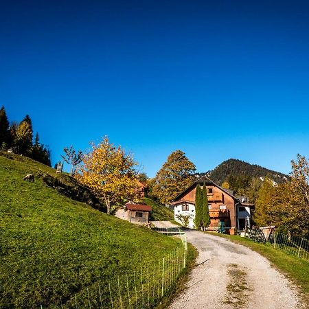 Stallhaeusl Schladming Exterior foto