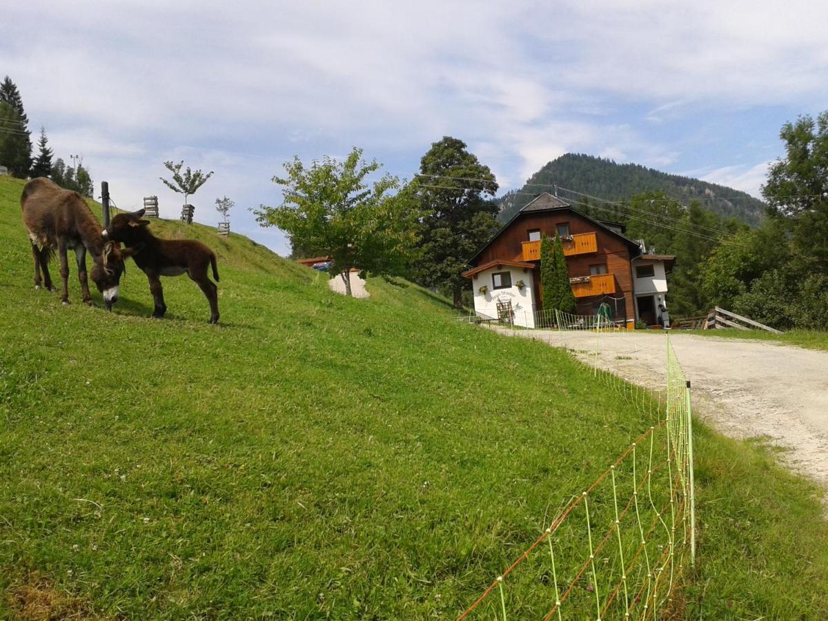Stallhaeusl Schladming Exterior foto