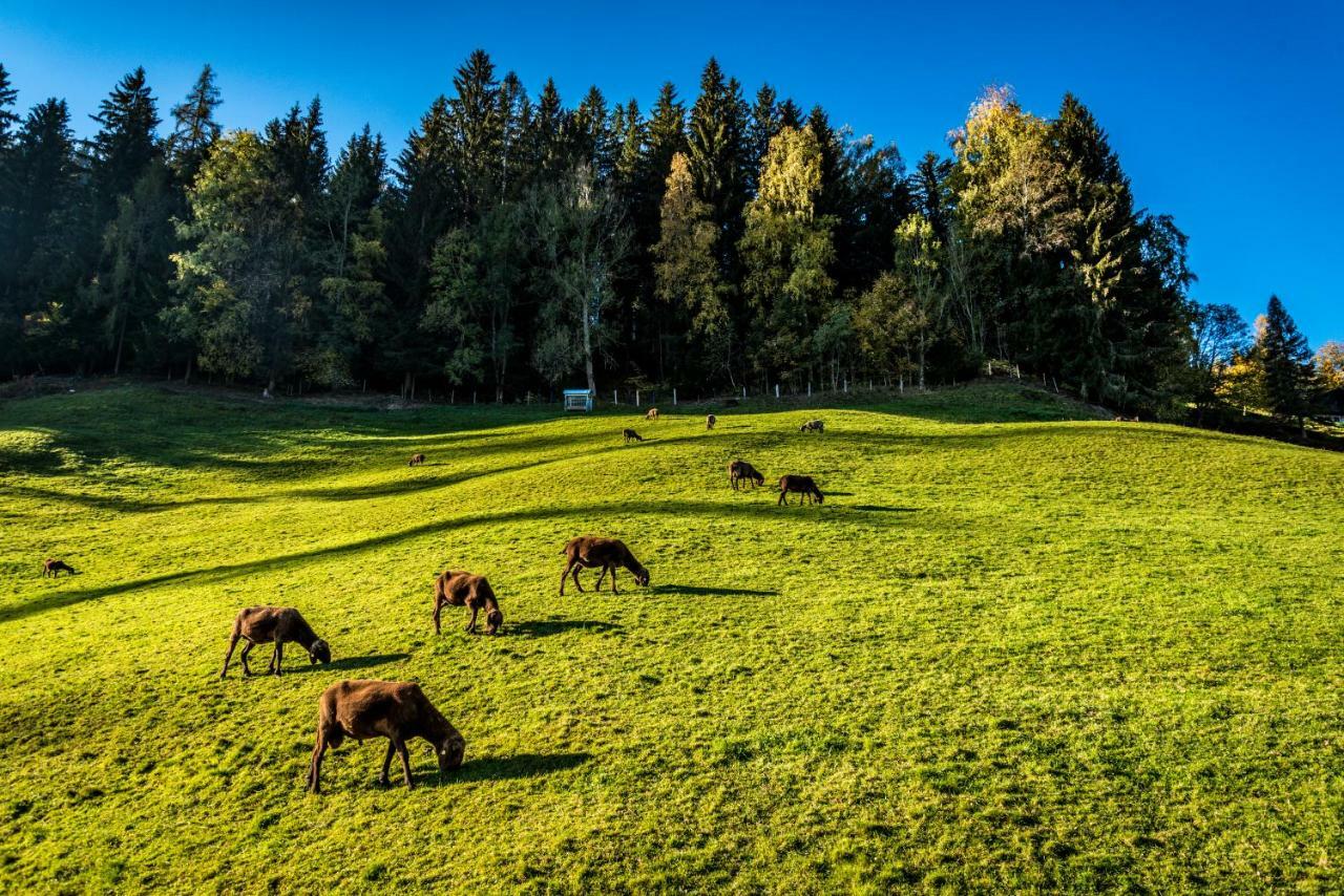 Stallhaeusl Schladming Exterior foto